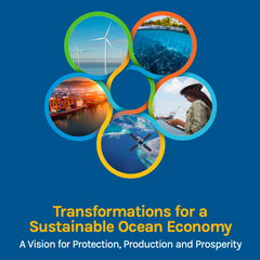 Transformations for a Sustainable Ocean Economy: A Vision for Protection, Production and Prosperity