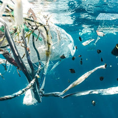 Plastic pollution: These are the top emitters of microplastics in our oceans
