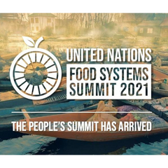 Bringing Blue Food to the Policy Table: Highlights from the U.N. Food Systems Summit