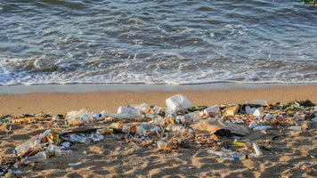 This unmanned underwater robot can remove ocean trash