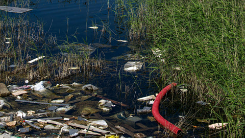 Researchers develop next-gen tool that could help protect critical waterways: 'Highlights the importance of early intervention'