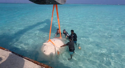 A new way of growing islands and coastlines