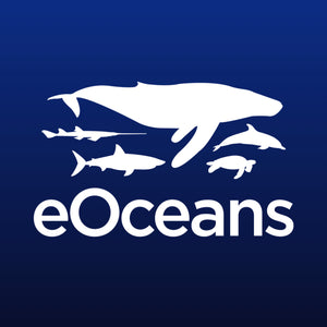 eOceans®