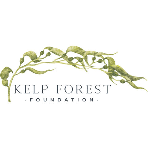 Kelp Forest Foundation - unlocking the power of kelp