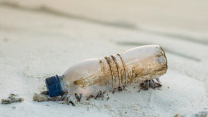 New App Helps Young People Turn Tide on Plastic Pollution