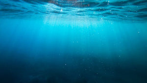 Deep-learning AI: fast and accurate systems offer huge ocean potential