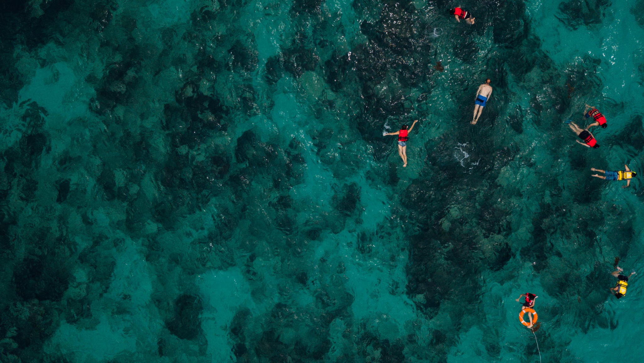 This Tourism App Unlocks Unique Experiences In Palau Through Completing Eco-Friendly Tasks