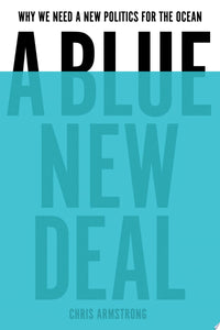 A Blue New Deal