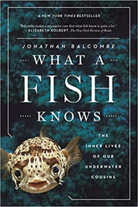 What a Fish Knows: The Inner Lives of Our Underwater Cousins