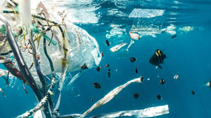 Marine Concept Design: Ocean "Plastic Harvester" Completes Prototype Testing
