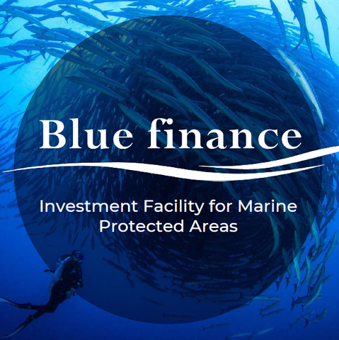 Impact investment in coral reefs and coastal communities