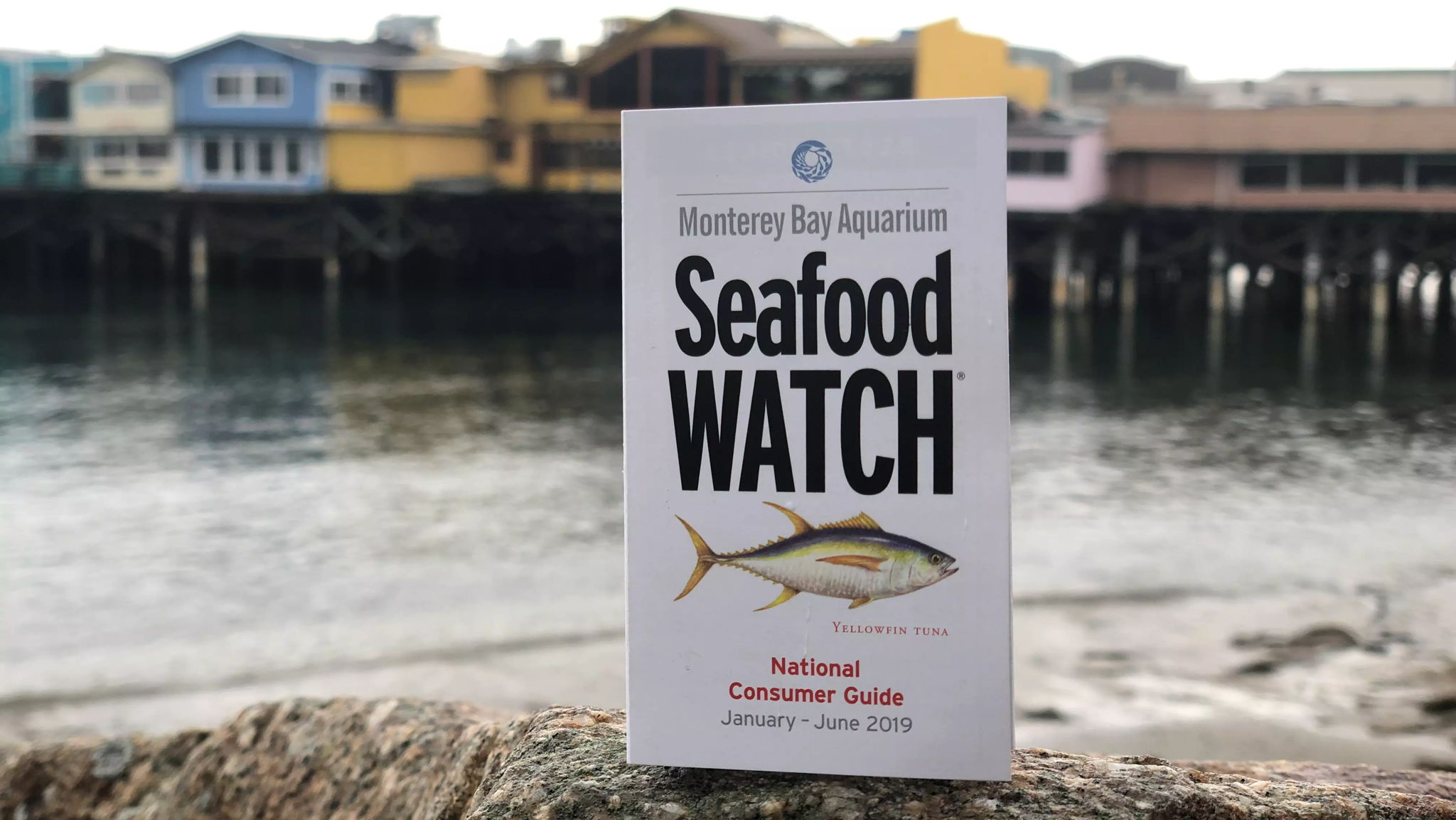 Seafood Watch: Consumer Guides