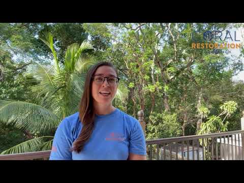 Meet the Experts - Coral Restoration Foundation (Madalen Howard)