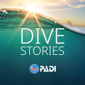Dive Stories