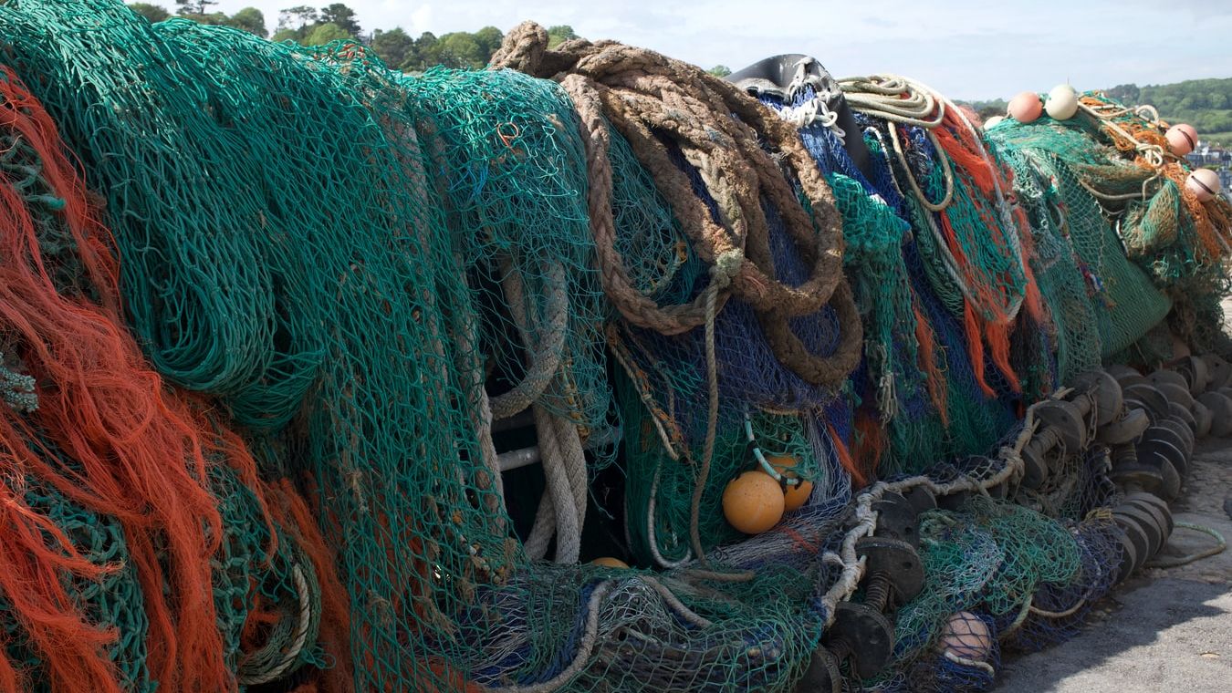 antique fishing nets Patagonia and Bureo Are Making Jackets Out of Old Fishing Nets