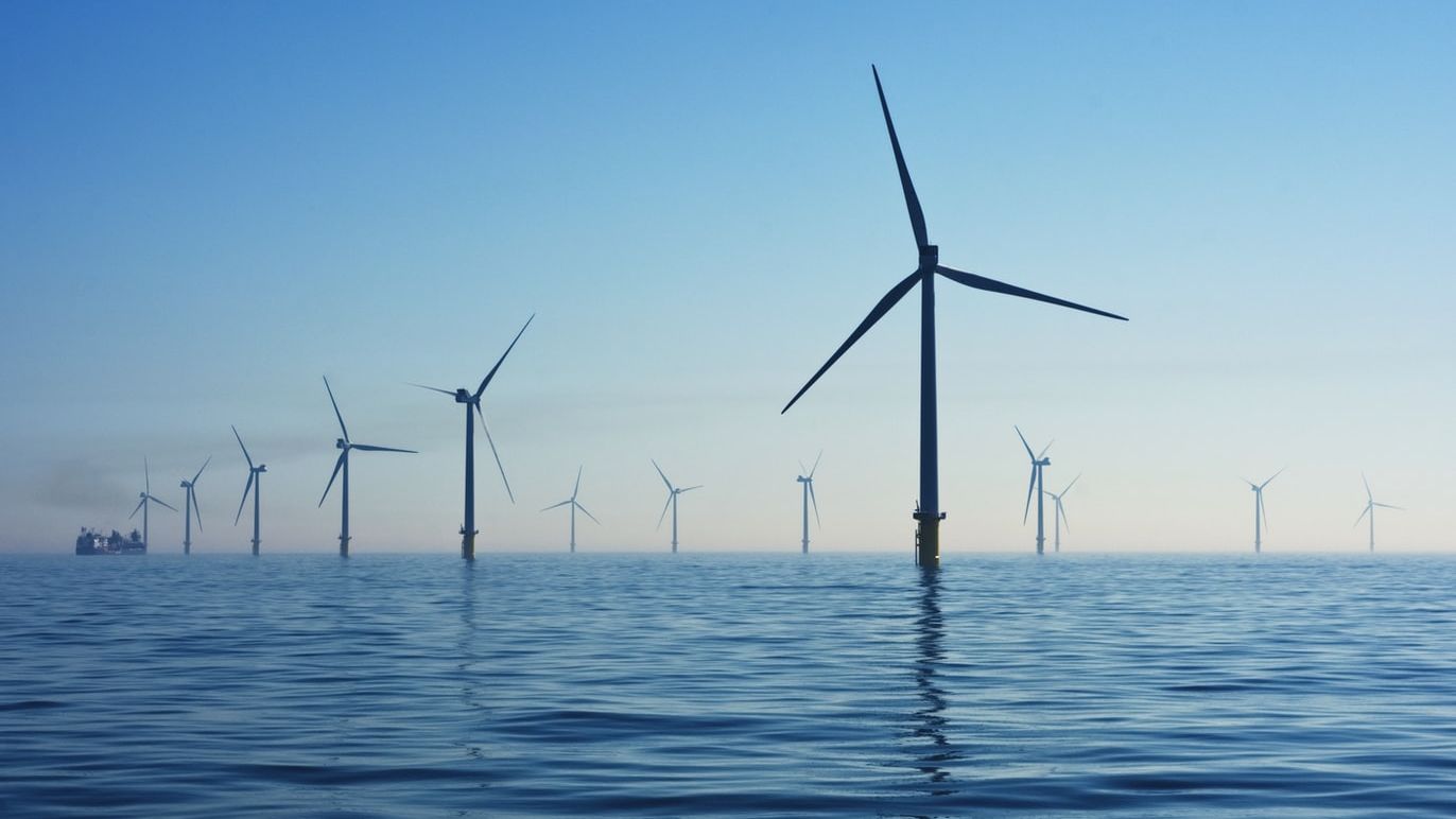 How robots could limit the environmental impact of offshore windfarms