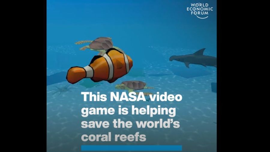 This NASA video game is helping save the world’s coral reefs