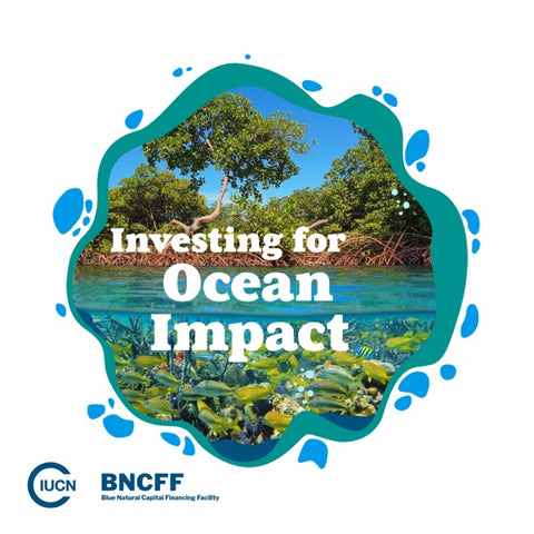 Investing For Ocean Impact