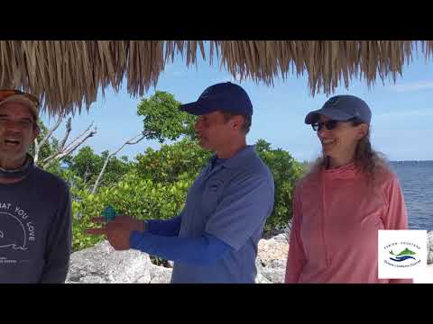 Meet the Experts - Fabien Cousteau Ocean Learning Center (Fabien Cousteau)