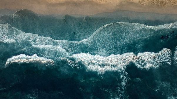 Harnessing AI For Sustainable Ocean Exploration – Investable Oceans