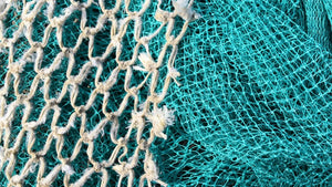 Bio-based and biodegradable nets could be the solution to 'ghost nets' jeopardizing sea life