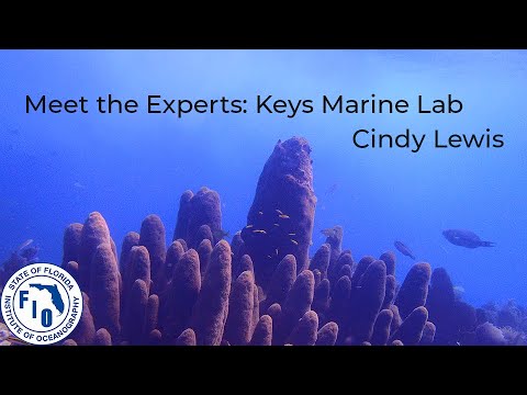 Meet the Experts - Keys Marine Lab (Cindy Lewis)