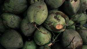 This Philippines startup is making coolers out of coconuts